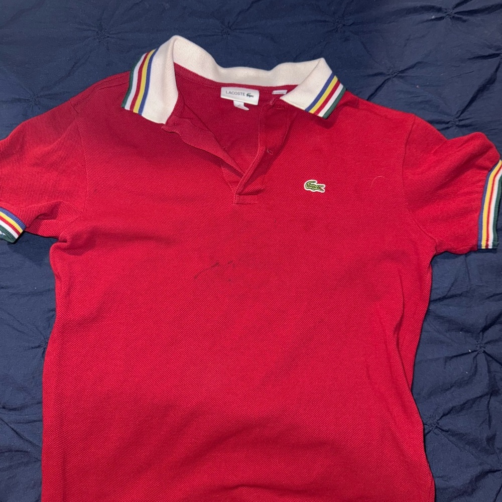 Lacoste Burgundy Polo with Multicolor Collar